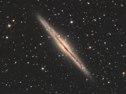 NGC 891